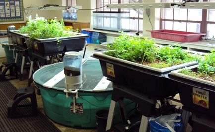 Introduction to Aquaponics Design – Saturday, March 21st, 2015